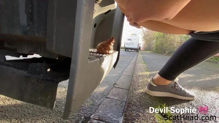 How Did Feces End Up On The Trucks Step? - Devil Sophie