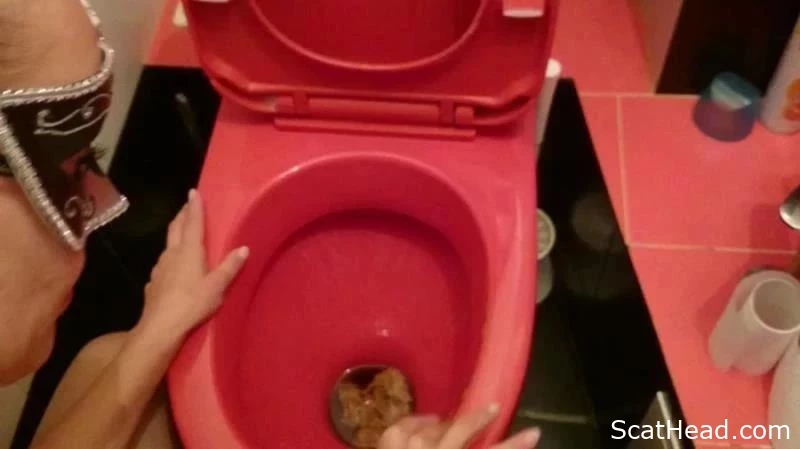 Im Caressing A Sordid Lavatory Bowl - Brown Wife - VibeWithMolly